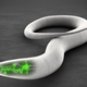 Illustration for article titled Infertile Worms May Be Immune to Brain Deterioration